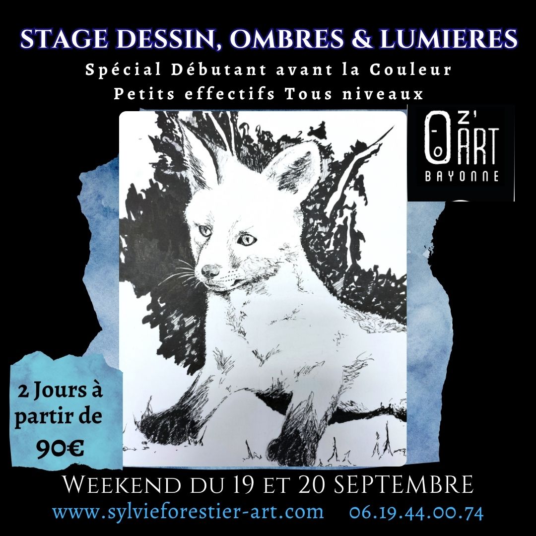 stage DESSIN