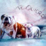 Portrait sur commande d'après photo. Tableau à l'acrylique sur toile. Composition par Sylvie Forestier